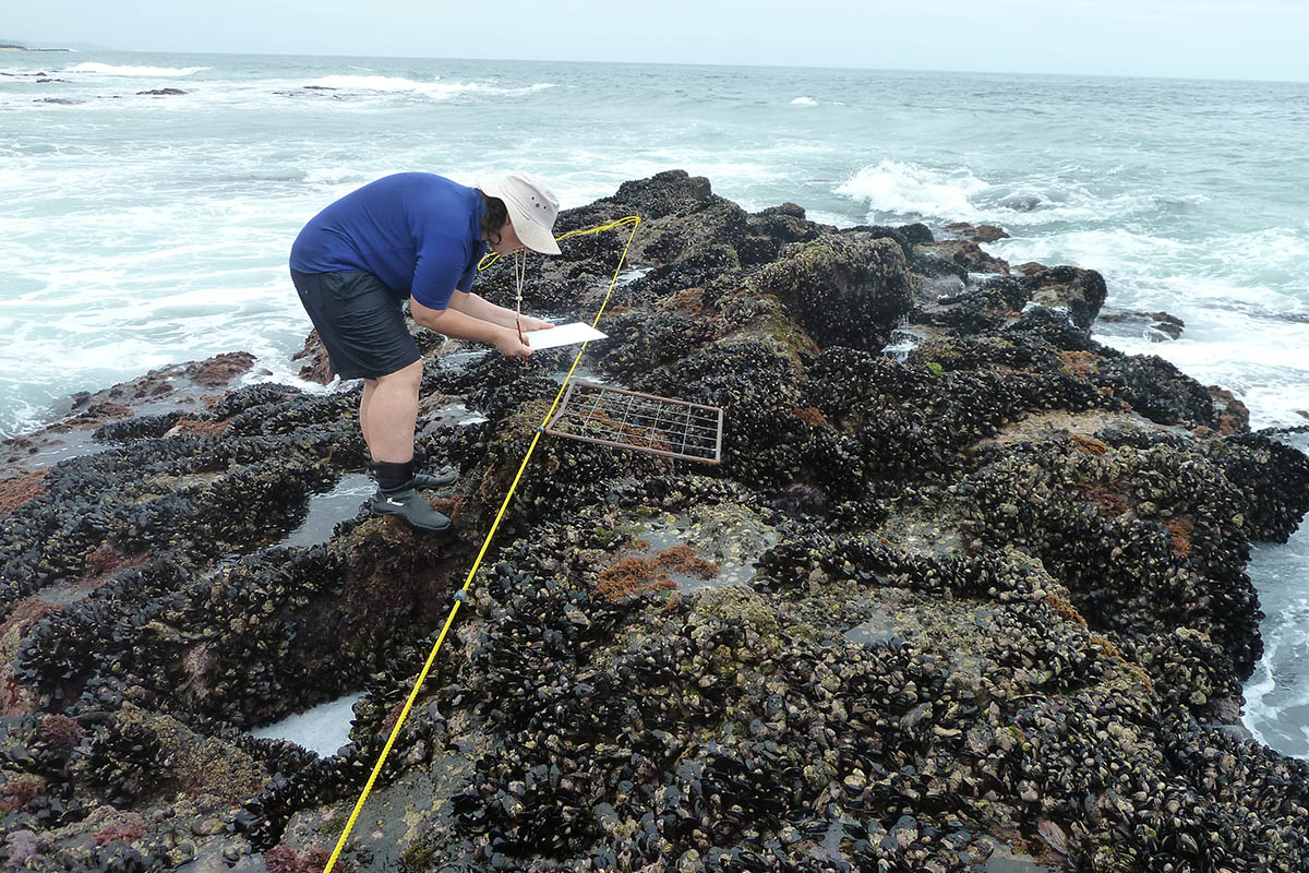 careers-marine-scientist-saambr-ori-ushaka-sea-world-ocean-research-durban-kzn-south-africa