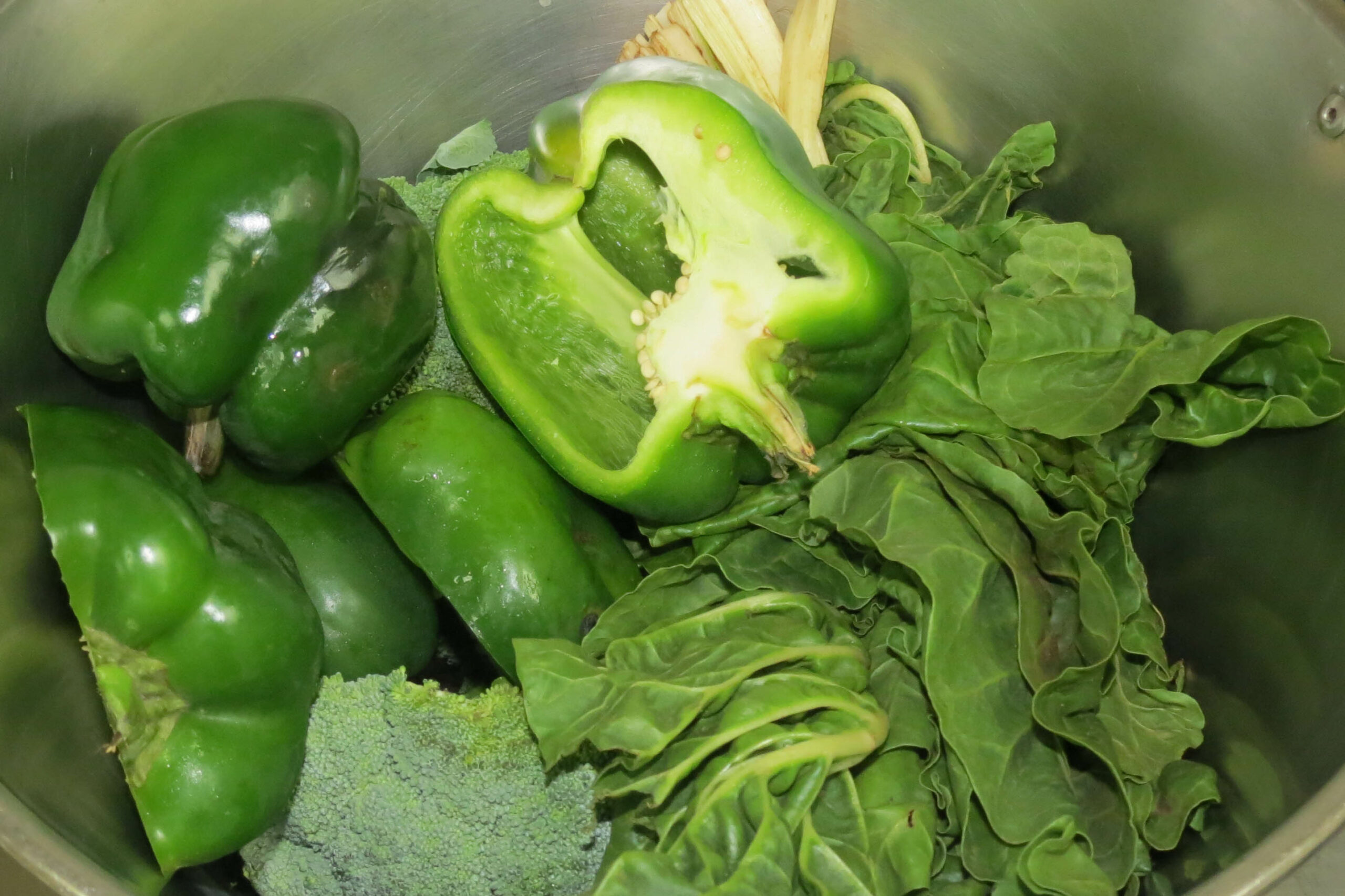 SAAMBR-animal-welfare-nutrition