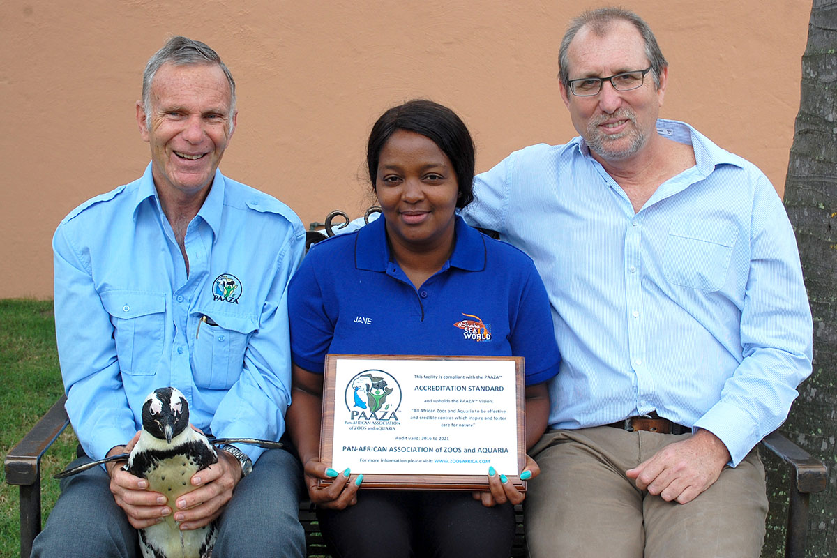 ushaka-sea-world-saambr-PAAZA-certification-south-african-association-for-marine-biological-research-ori-durban-kzn