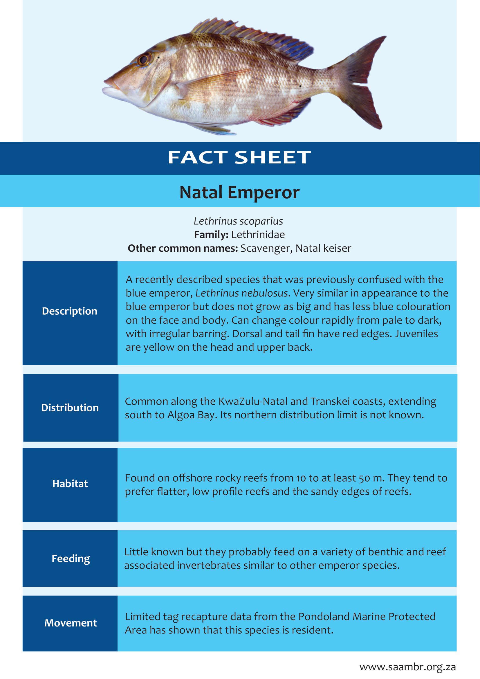 Natal Emperor