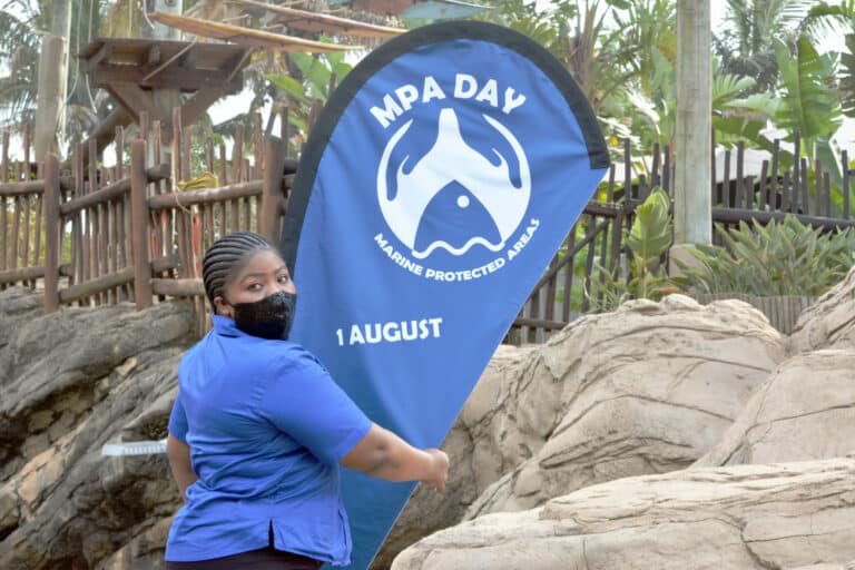 2021-MPA-Day-Banner-Photo-Ann-Kunz-a-scaled