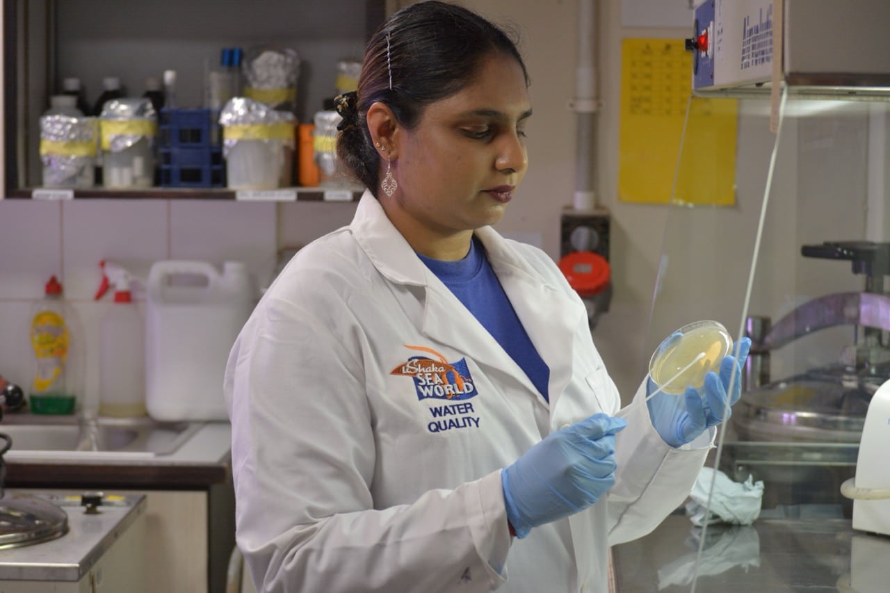 website water quality Large