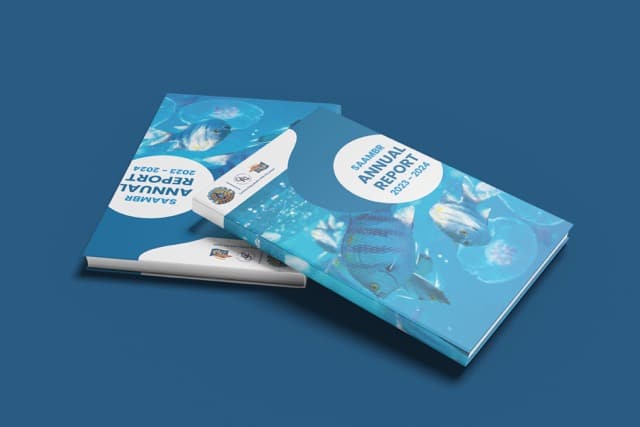 Image of SAAMBR 2024 Annual Report